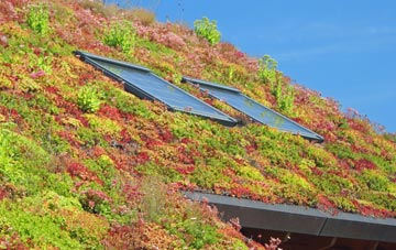 Coisley Hill living roof systems