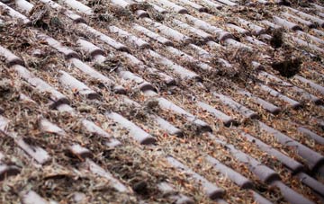 Coisley Hill roof cleaning companies